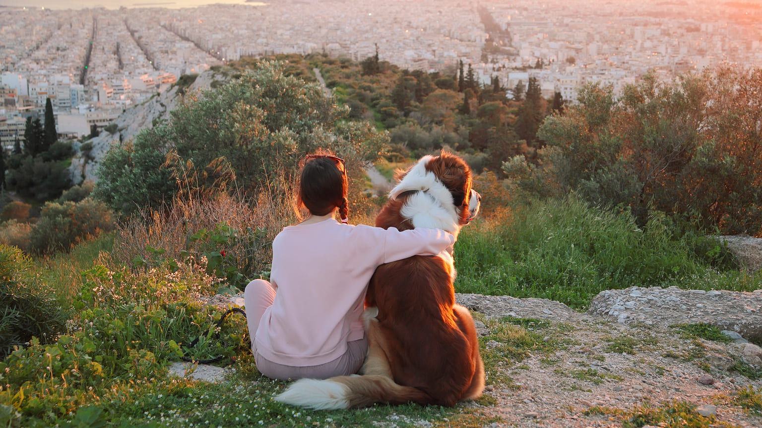 Greece residence permit types